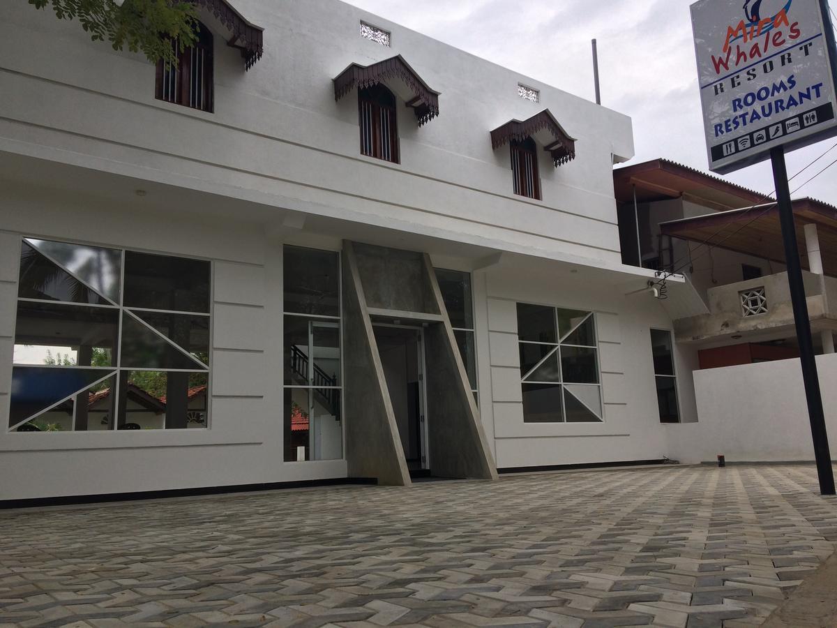 Mira Whales Resort Mirissa Exterior foto